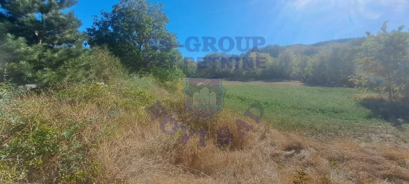 plac na prodaju Sremski Karlovci 5260m2 579194