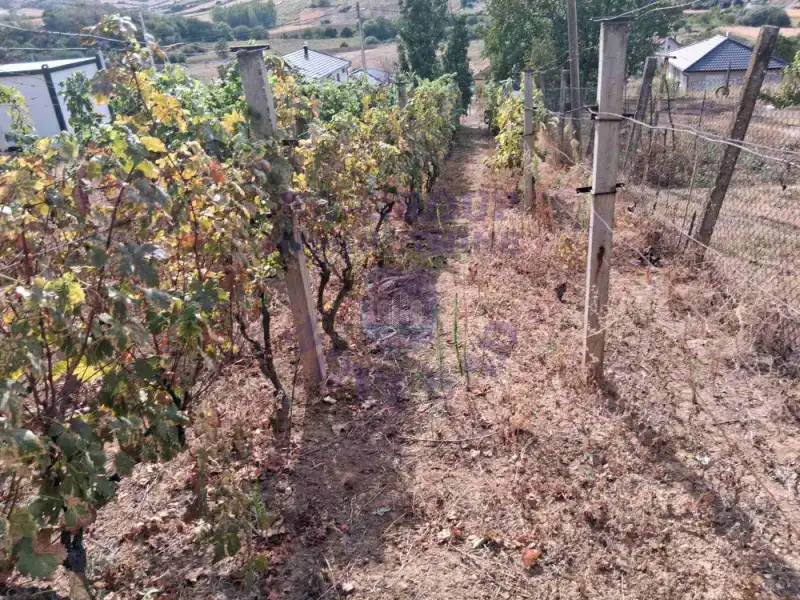 Plac na prodaju Petrovaradin 811m2, 570908