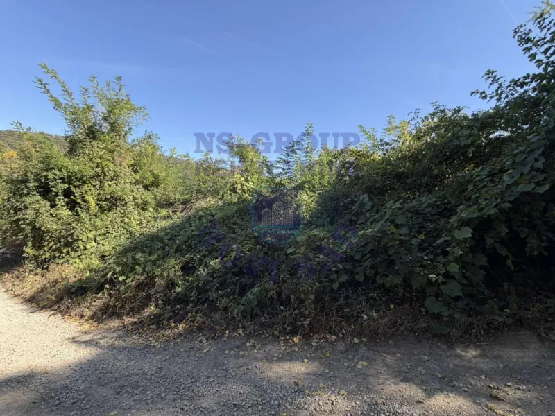 Plac na prodaju Rakovac 3402m2, 579287