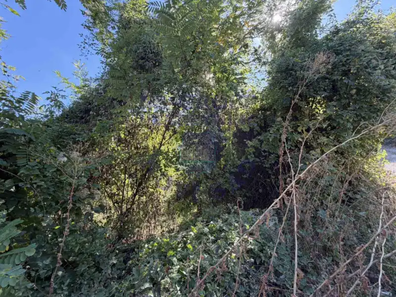 Plac na prodaju Rakovac 3402m2, 579287