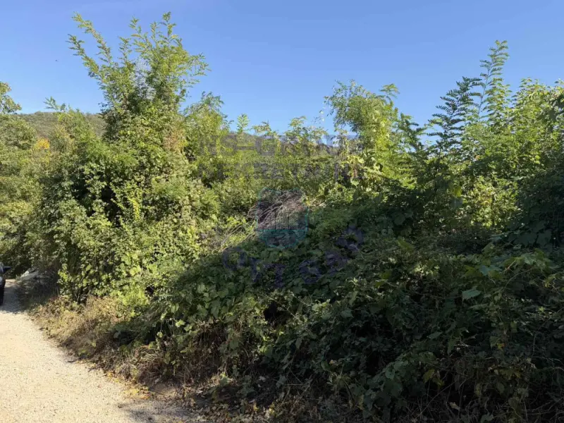 plac na prodaju Rakovac, 3402m2 579287