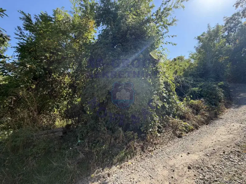 Plac na prodaju Rakovac 3402m2, 579287