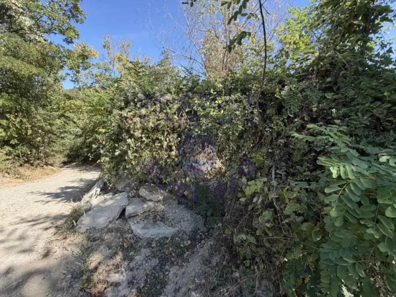 Plac na prodaju Rakovac 3402m2, 579287