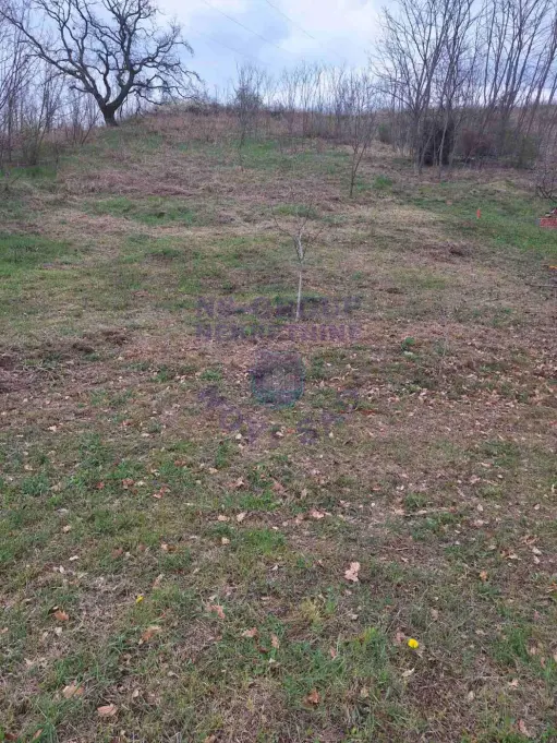 Plac na prodaju Čerević 1265m2, 579193