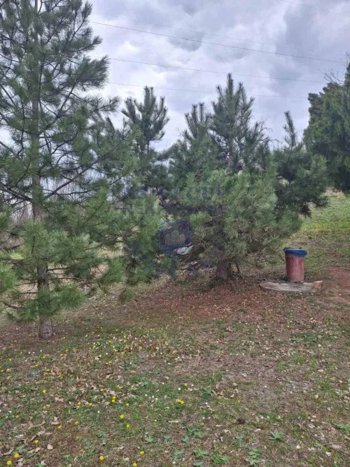 Plac na prodaju Čerević 1265m2, 579193