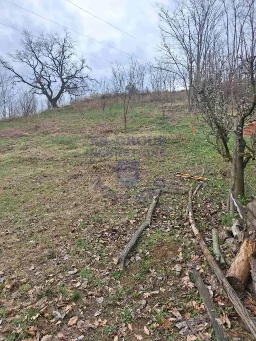 Plac na prodaju Čerević 1265m2, 579193