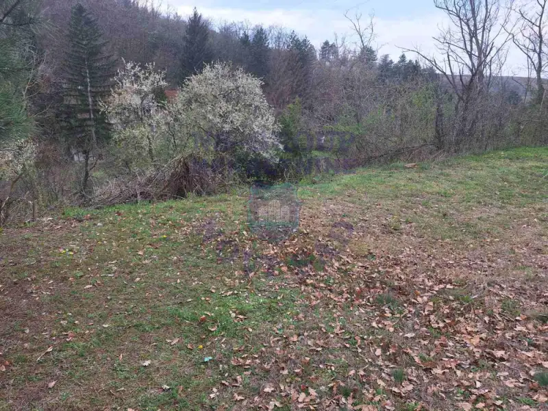Plac na prodaju Čerević 1265m2, 579193