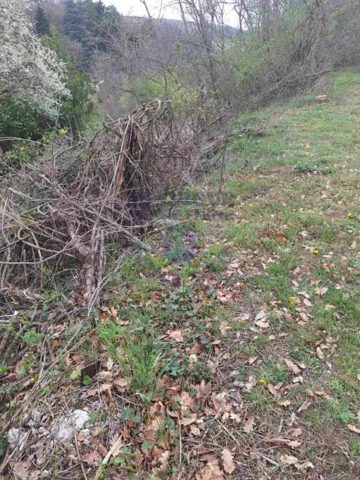 Plac na prodaju Čerević 1265m2, 579193