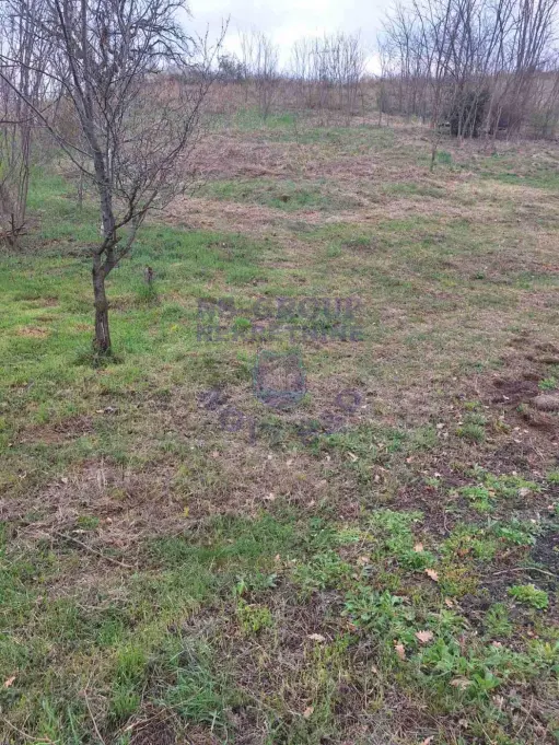 Plac na prodaju Čerević 1265m2, 579193