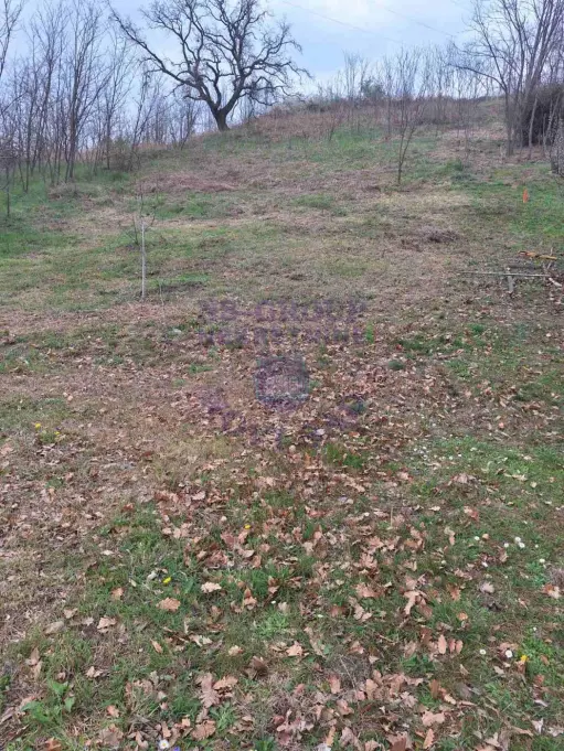 Plac na prodaju Čerević 1265m2, 579193