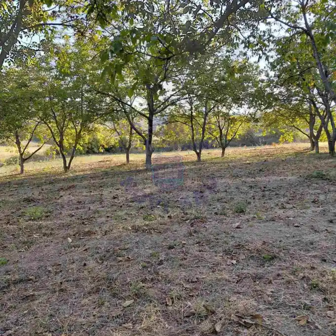 plac na prodaju Petrovaradin, 27113m2 579532