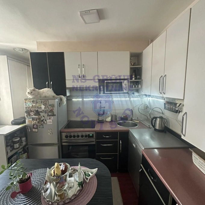 Kuća za izdavanje Bačka Palanka 96m2, 579427
