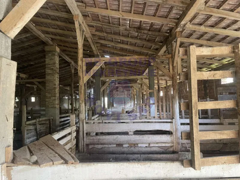 Kuća za izdavanje Bački Petrovac 1524m2, 578751