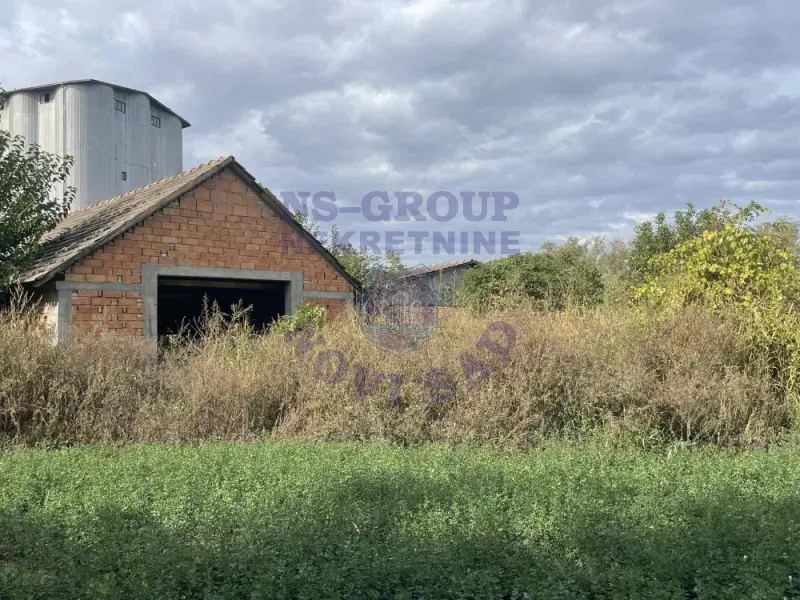 Kuća za izdavanje Bački Petrovac 1524m2, 578751