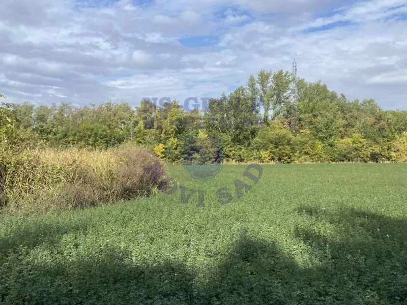 Kuća za izdavanje Bački Petrovac 1524m2, 578751