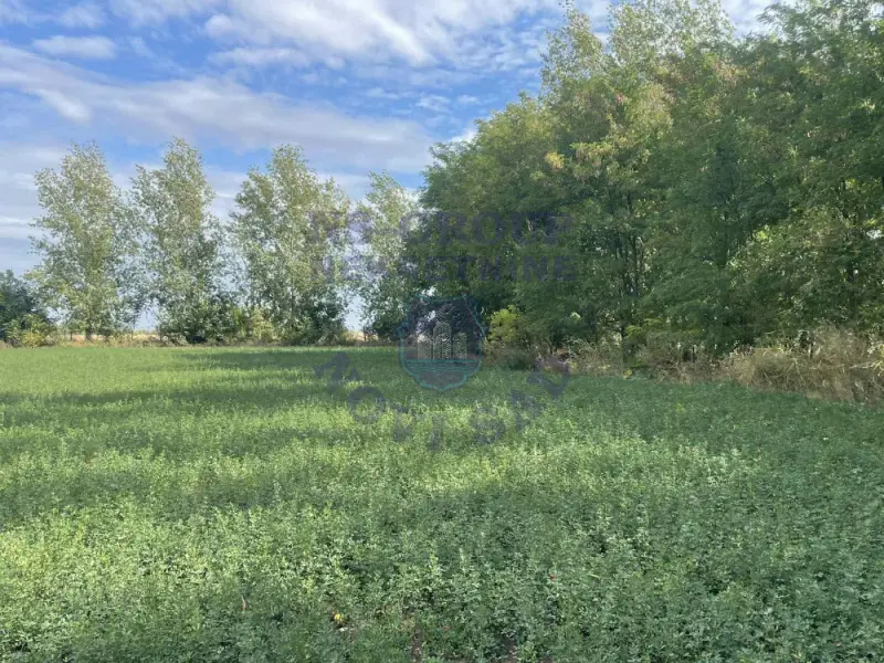 Kuća za izdavanje Bački Petrovac 1524m2, 578751