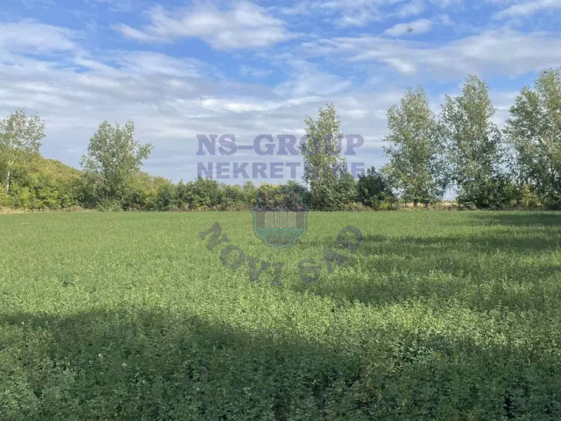 Kuća za izdavanje Bački Petrovac 1524m2, 578751