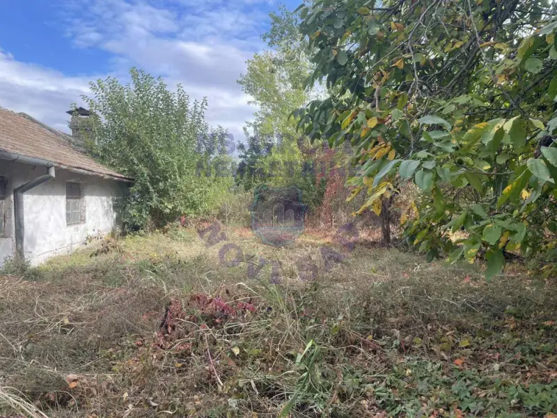 Kuća za izdavanje Bački Petrovac 1524m2, 578751
