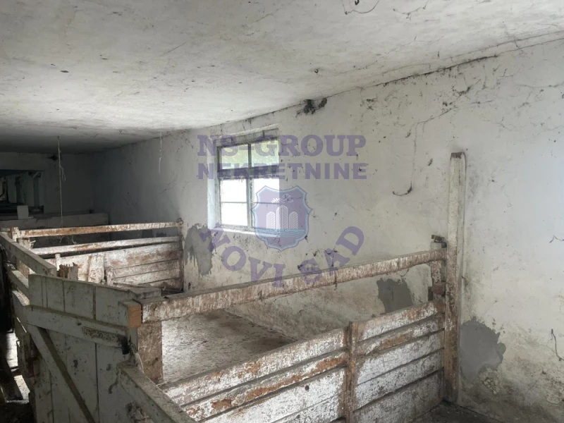 Kuća za izdavanje Bački Petrovac 1524m2, 578751