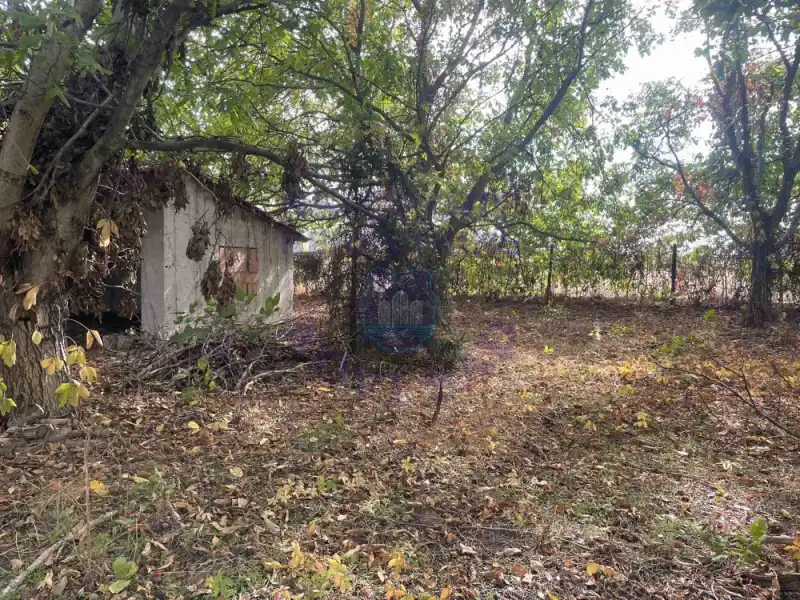 Kuća za izdavanje Bački Petrovac 1524m2, 578751