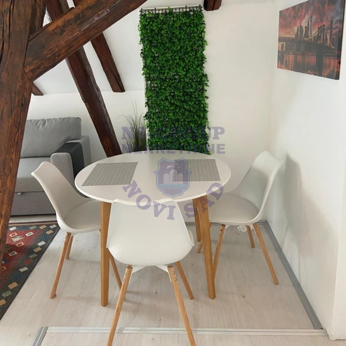 Stan za izdavanje Novi Sad 45m2, 17687