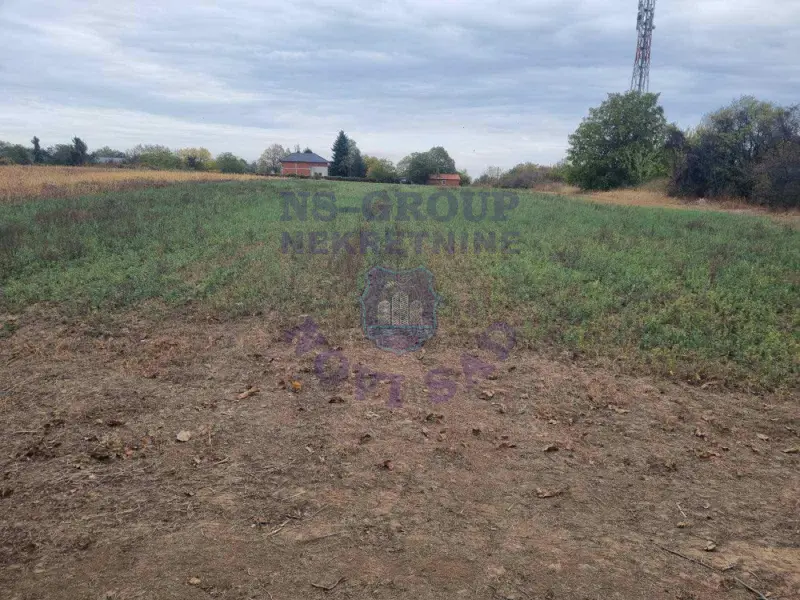 Plac na prodaju Čortanovci 2661m2, 579751