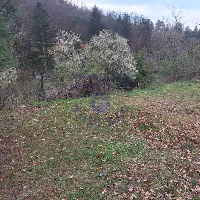 Plac na prodaju Čerević 1265m2, 579193