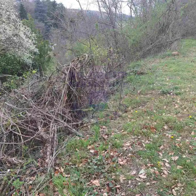 Plac na prodaju Čerević 1265m2, 579193