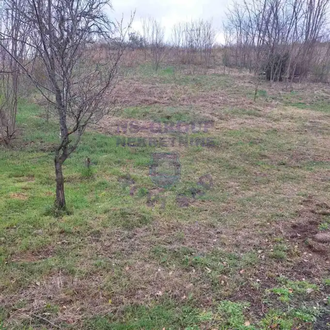Plac na prodaju Čerević 1265m2, 579193