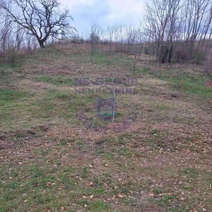 Plac na prodaju Čerević 1265m2, 579193
