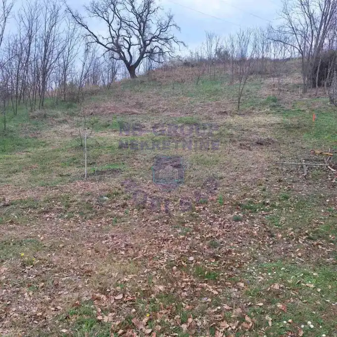 Plac na prodaju Čerević 1265m2, 579193