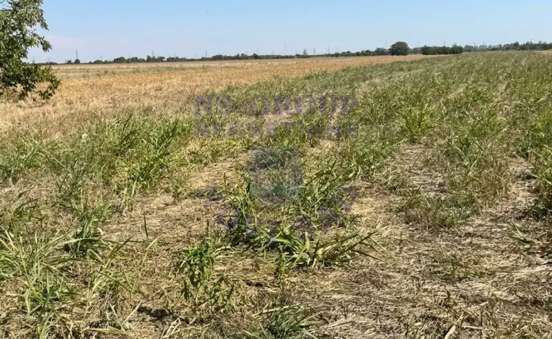 Plac na prodaju Novi Sad 3285m2, 579817