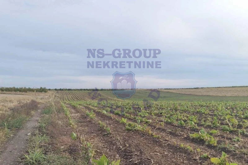plac na prodaju Maradik 1001m2 579830