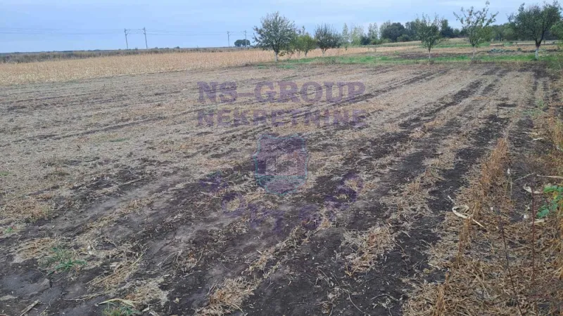 Plac na prodaju Kisač 2231m2, 579845