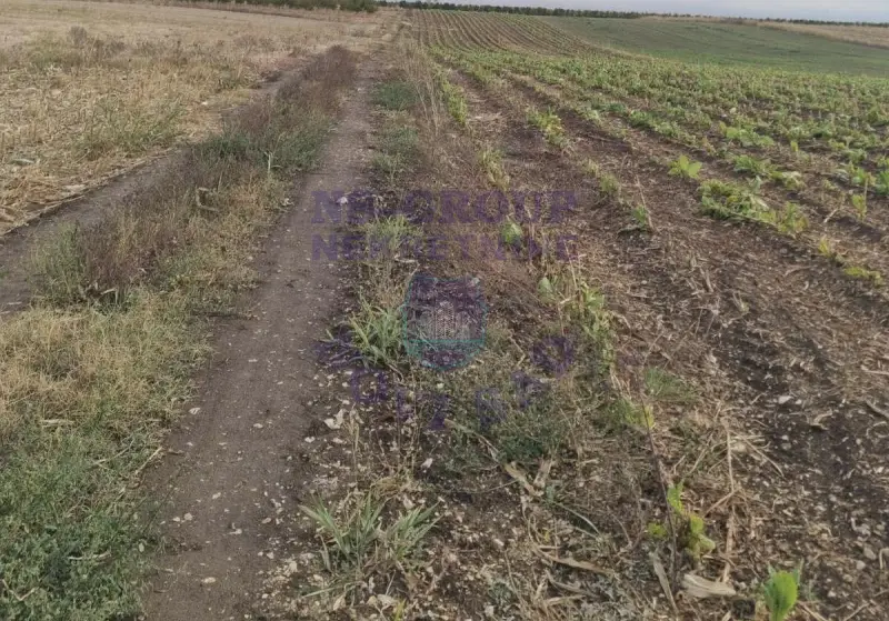 plac na prodaju Maradik 1001m2 579830