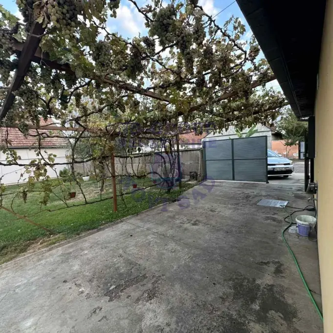 Kuća na prodaju Bački Petrovac 120m2, 579785