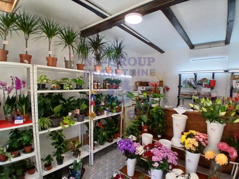 Lokal na prodaju Beočin 62m2, 580049