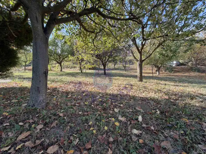 Kuća na prodaju Sremska Kamenica 44m2, 580292
