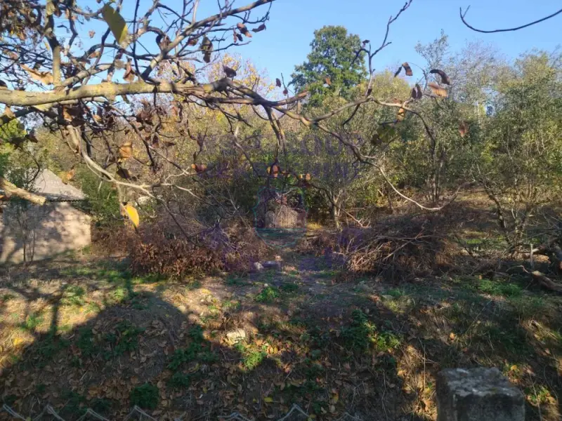 Kuća na prodaju Vrdnik 59m2, 579561