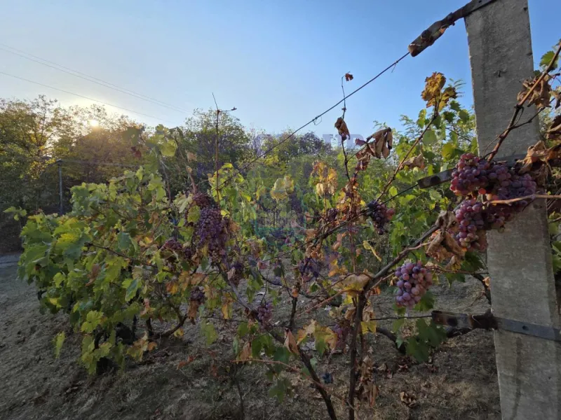 Kuća na prodaju Maradik 67m2, 580490