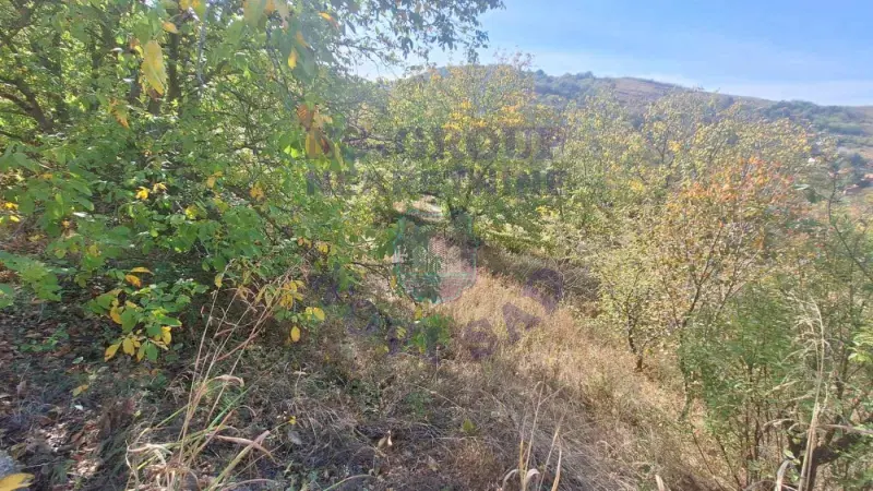 Kuća na prodaju Rakovac 77m2, 580542