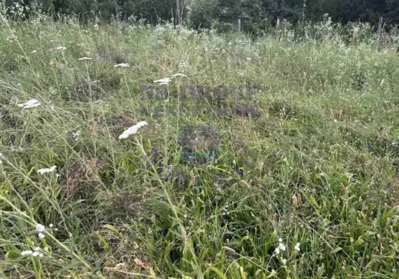 Plac na prodaju Sremski Karlovci 6431m2, 580538