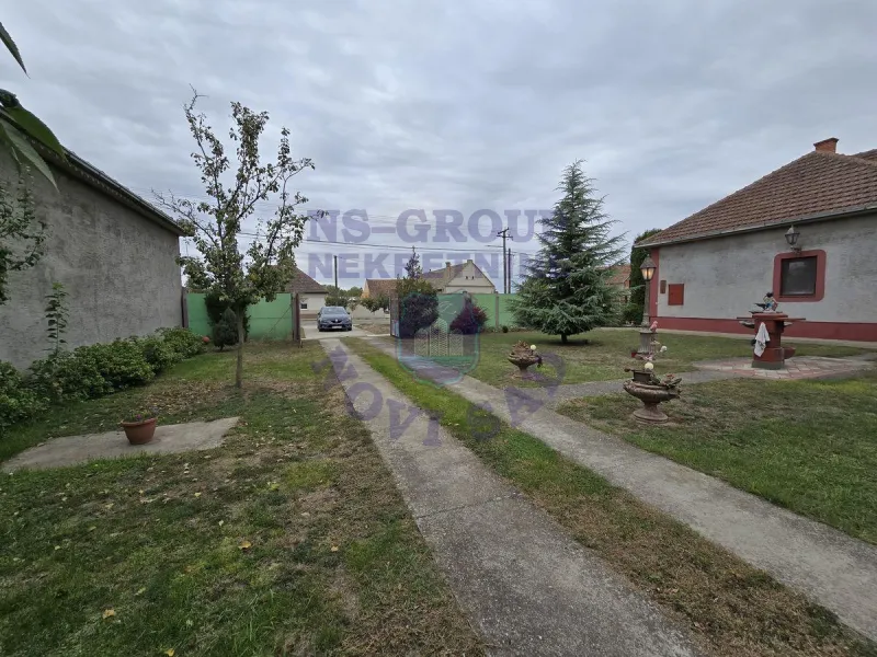 kuca na prodaju Despotovo, 234m2 580348