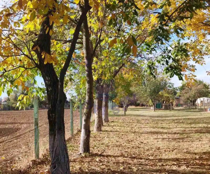 Plac na prodaju Petrovaradin 1471m2, 580725