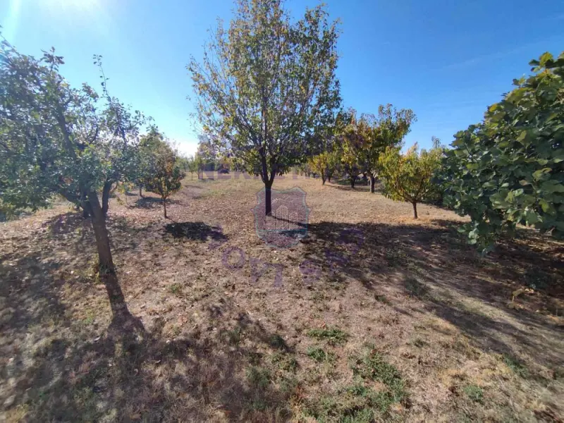 Kuća na prodaju Čortanovci 92m2, 580753