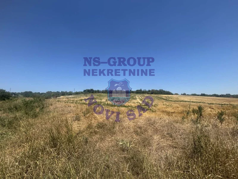 property-card-img-103839