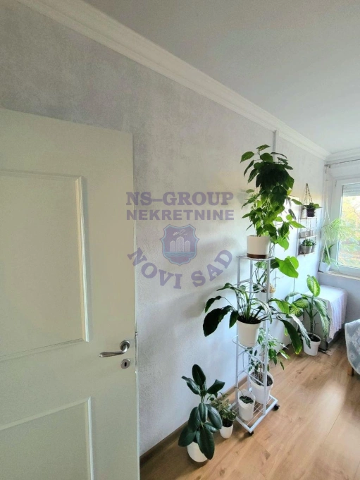 Stan na prodaju Novi Sad 37m2, 580884