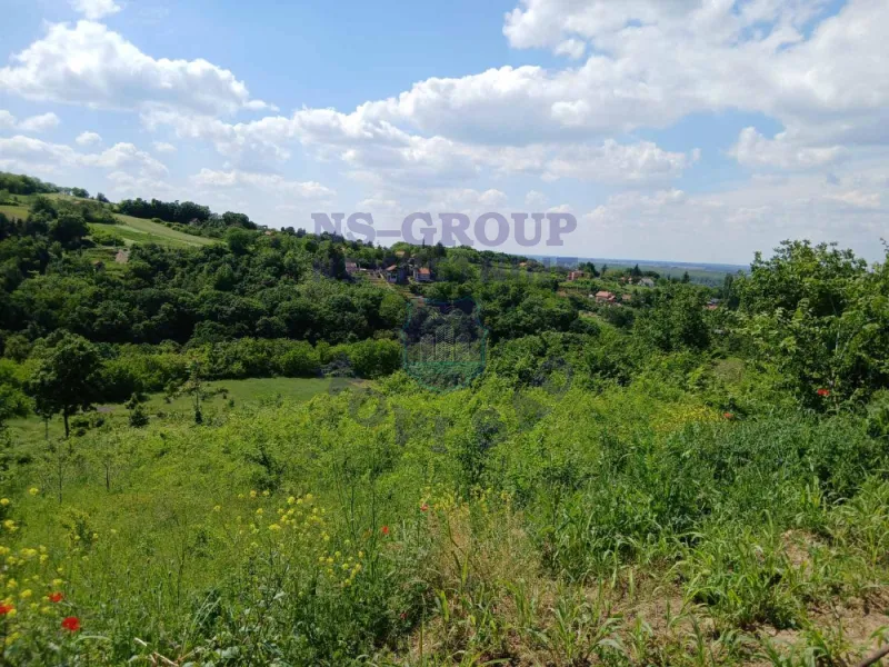 plac na prodaju Ledinci, 1499m2 555087