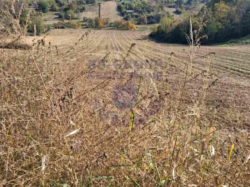 Plac na prodaju Sremska Kamenica 703m2, 580849