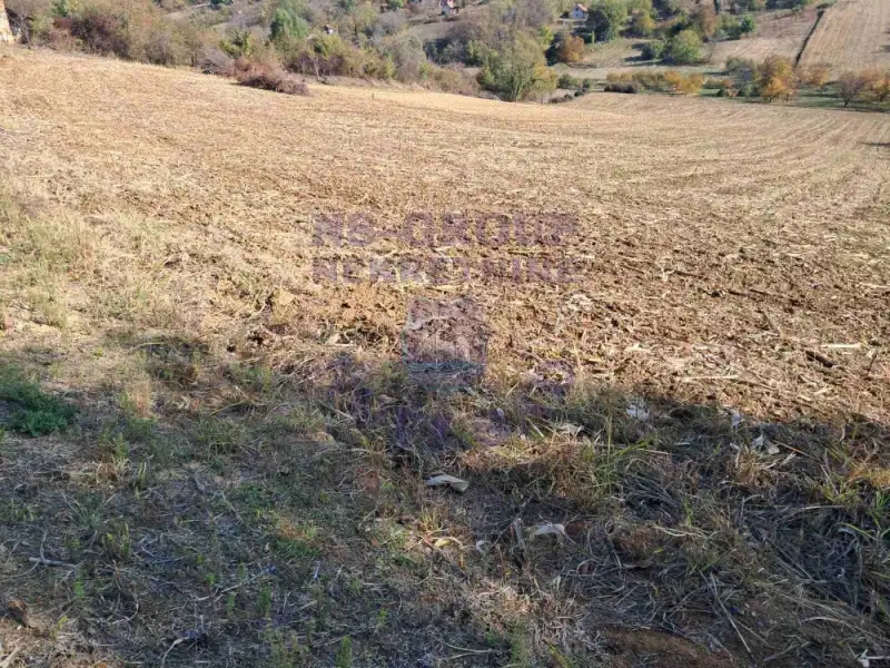 plac na prodaju Sremska Kamenica, 703m2 580849
